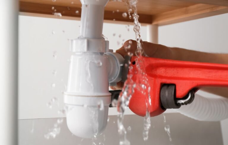 Einstein pros plumbing Leak Repair Services Portland Oregon