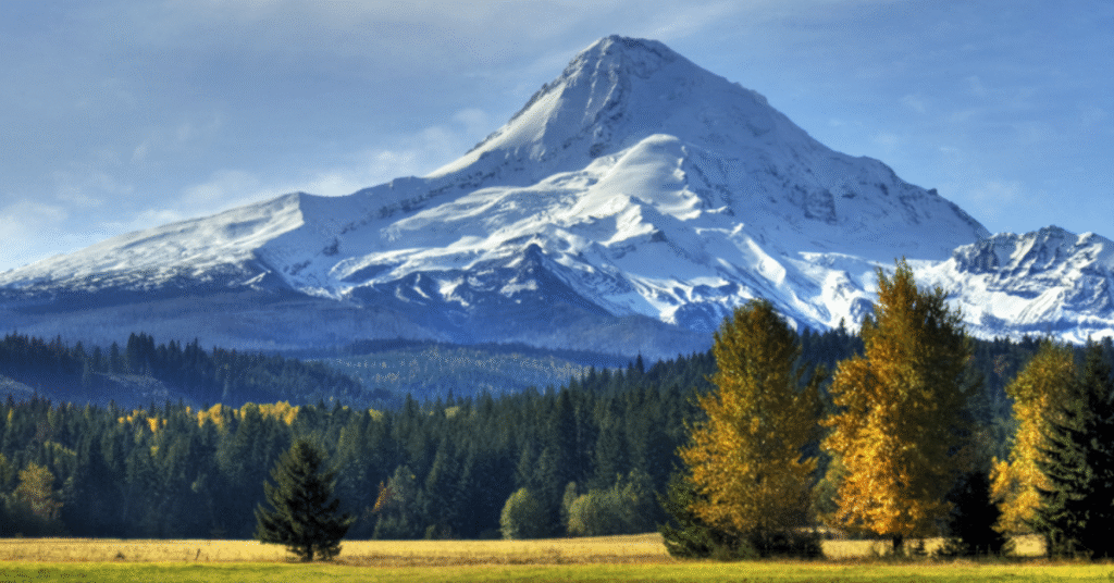 🚰 How to Shut Off Your Homes Main Water Valve in Clackamas OR