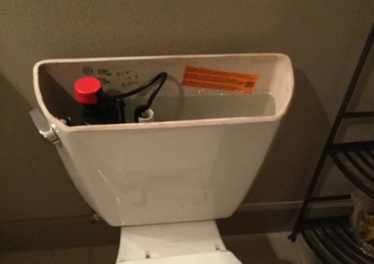 Lake Oswego, OR 6 flush repair in portland